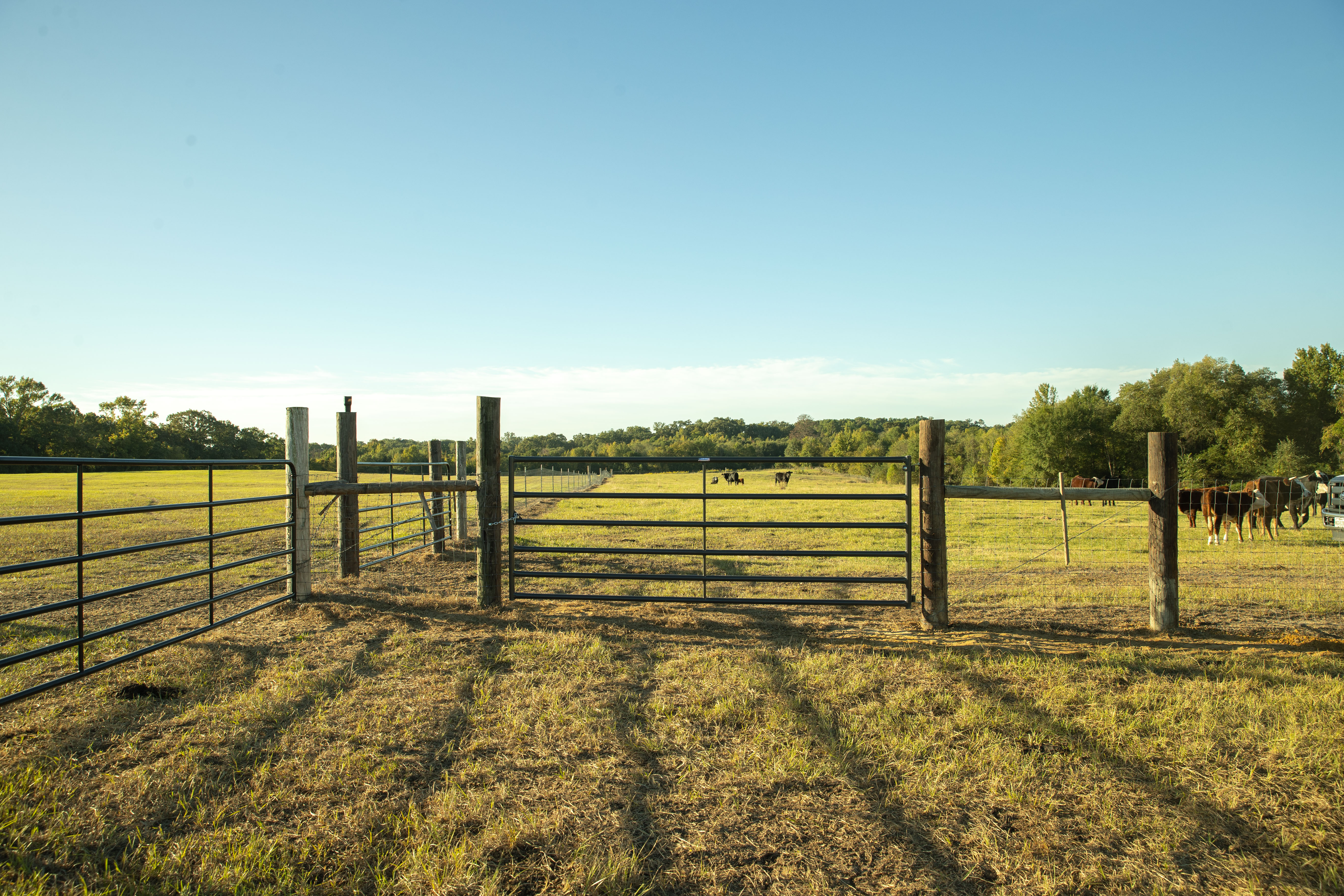 Bull Gate IMG 0405.jpg